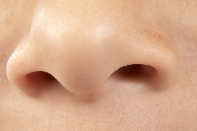 Close up photo of nose