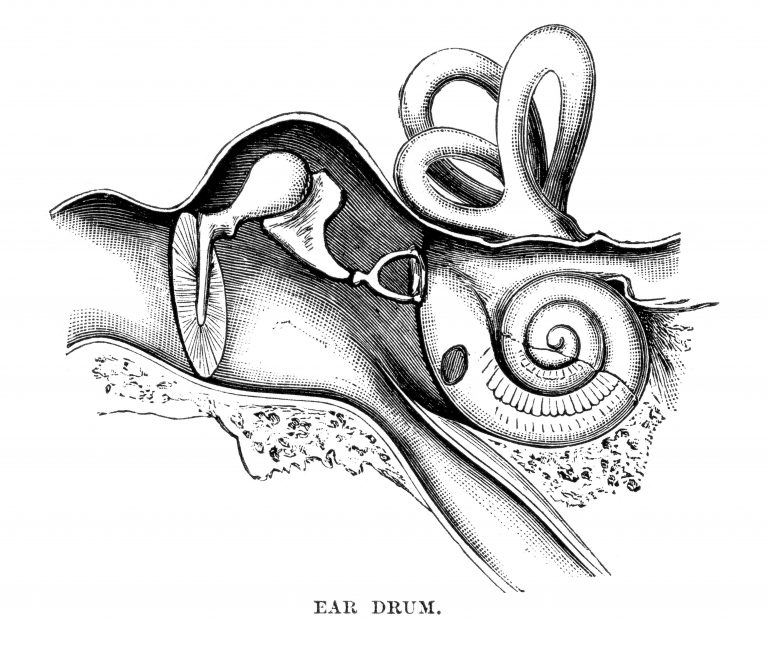 Artistic Representation of the ear drum