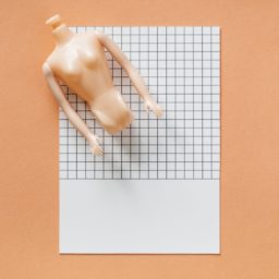 A doll torso on top of graph paper