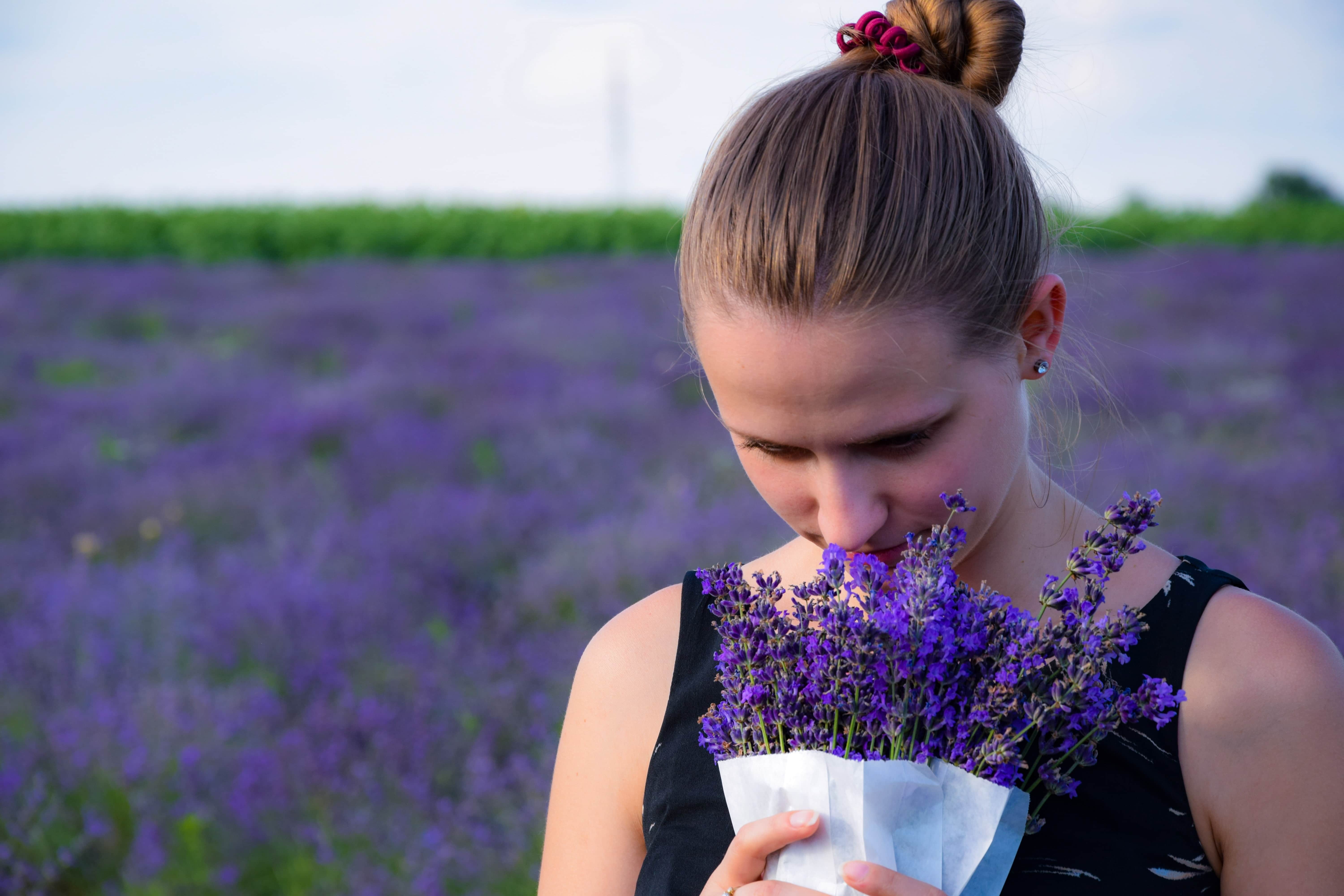 Woman smelling a bunch of lavender while standing in a field of lavender